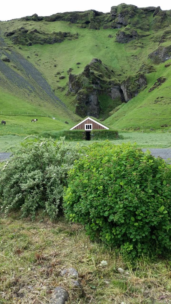 Giljur Guesthouse Vik i Myrdal Luaran gambar