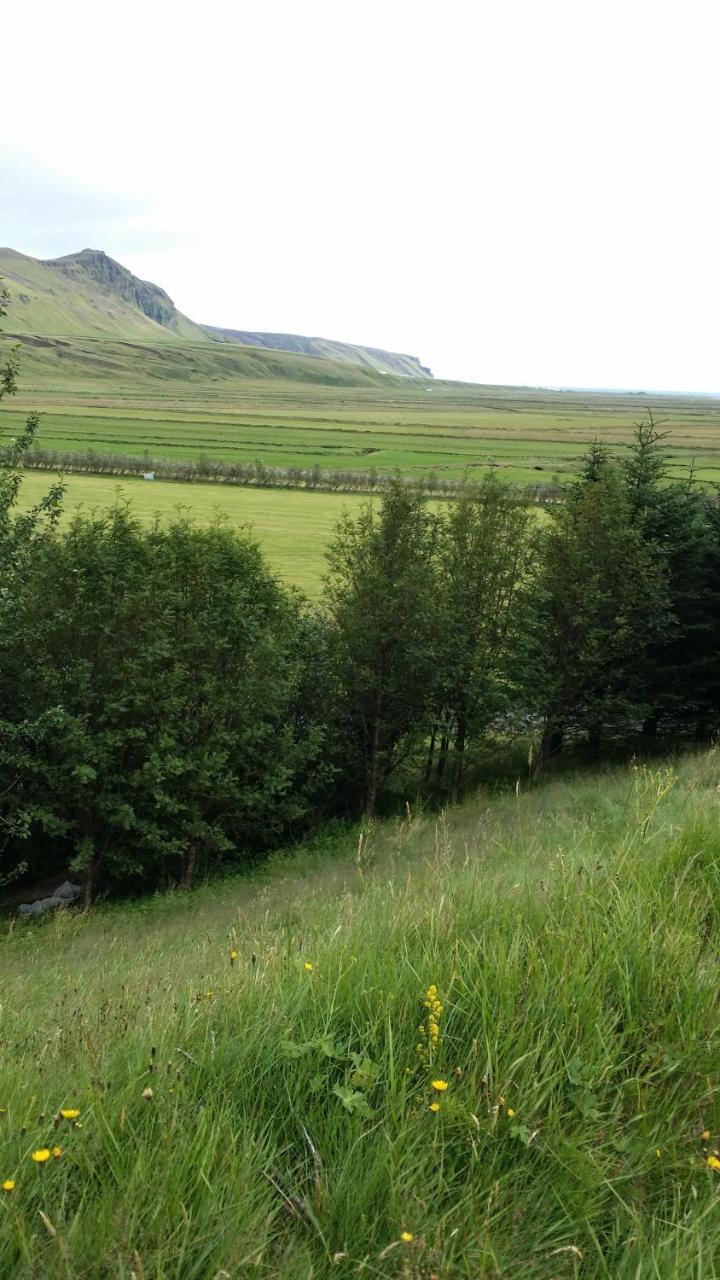 Giljur Guesthouse Vik i Myrdal Luaran gambar